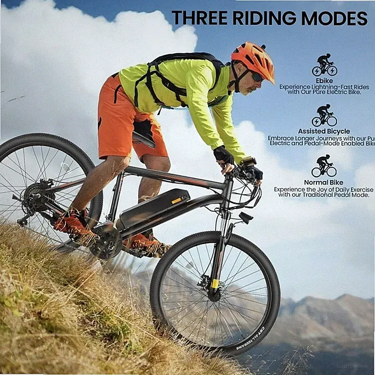 29 in Electric Mountain Bike