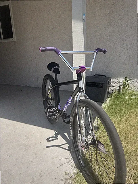 29” Bike