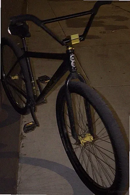 Bike 29in