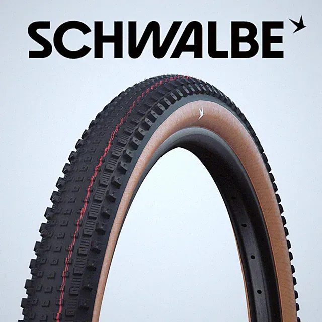 Schwalbe Rick XC Pro 29x2.40 Evolution Line Pro Addix Speed Transparent Tire