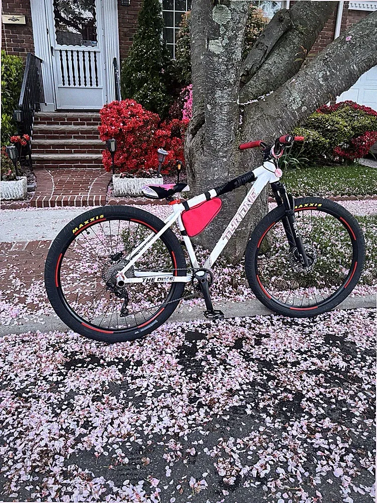 29 in BMX Bike