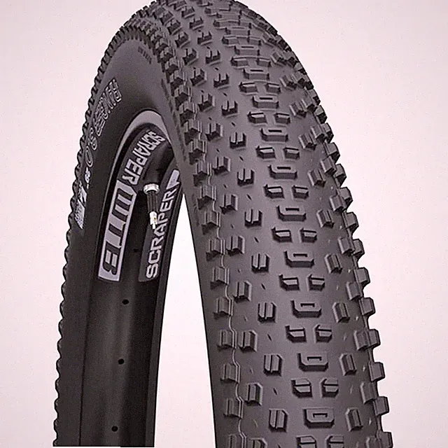 WTB Ranger TCS Light Fast Rolling SG2 Tubeless Mountain Bike MTB Tire 29 x 3.0"